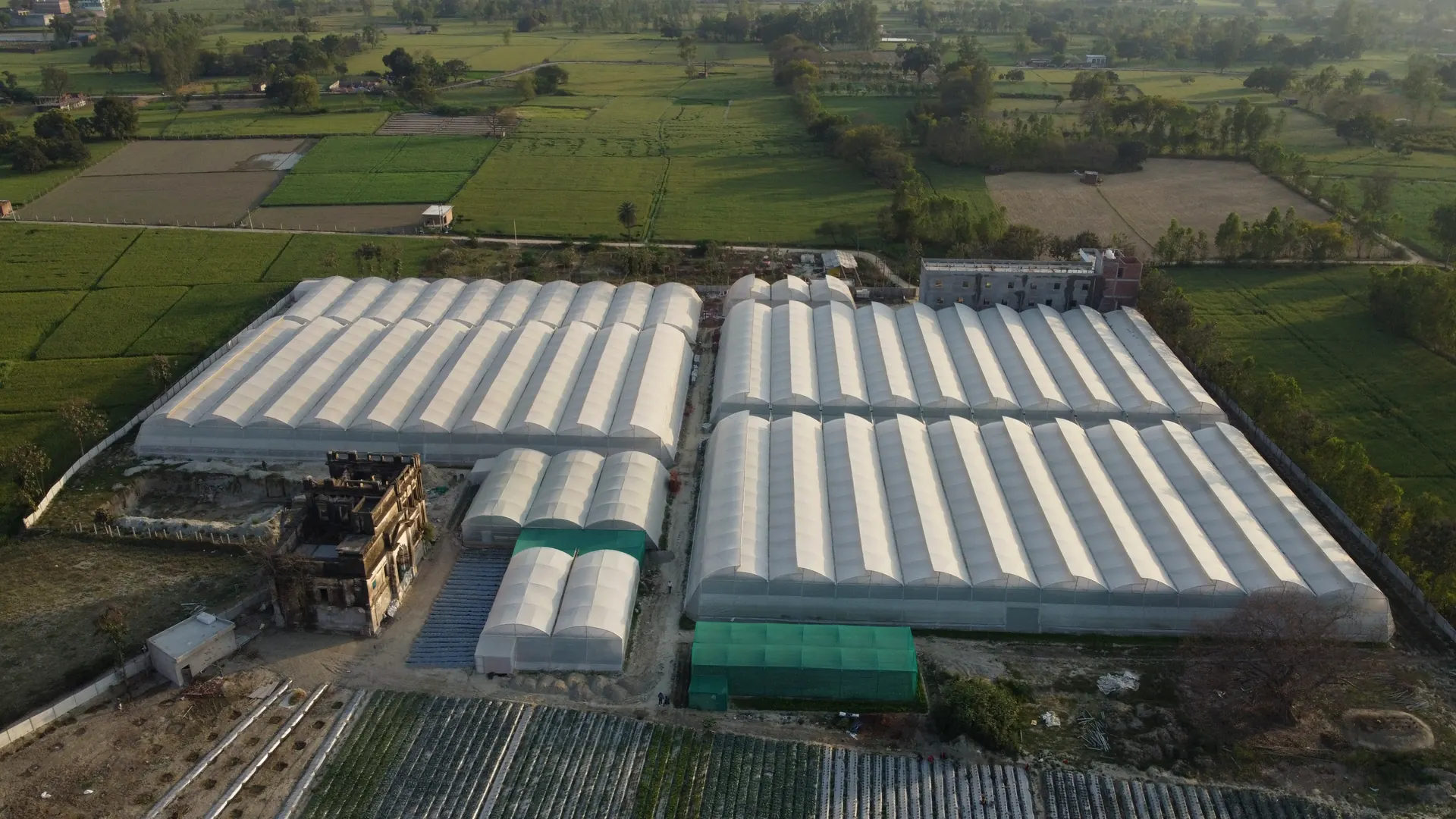Aerial view of a soilless polyhouse farm
